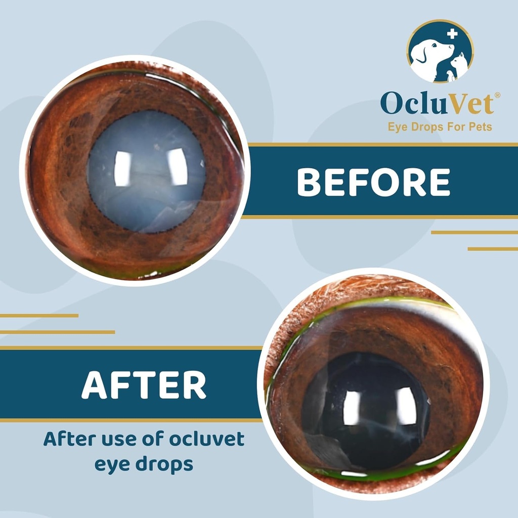 ocluvet-pet-eye-drops-for-dogs-cats-2-na-6170XaV+LiL.jpg