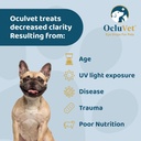 ocluvet-pet-eye-drops-for-dogs-cats-2-na-61B7JIRizKL.jpg