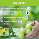 herbal-hills-amla-powder-1kg-supports-sk-71OIZq6nGQL.jpg