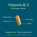 bestvite-vitamin-b-2-riboflavin-100mg-24-51g7wGRuLxL.jpg