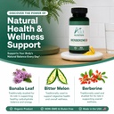 berberine-plus-with-bitter-melon-banaba--71HXPTKm10L.jpg