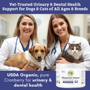 organic-cranberry-supplement-for-dogs-an-81S5+Qye8UL.jpg