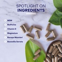 research-verified-fibro-support-90-capsu-813S-P48S5L.jpg