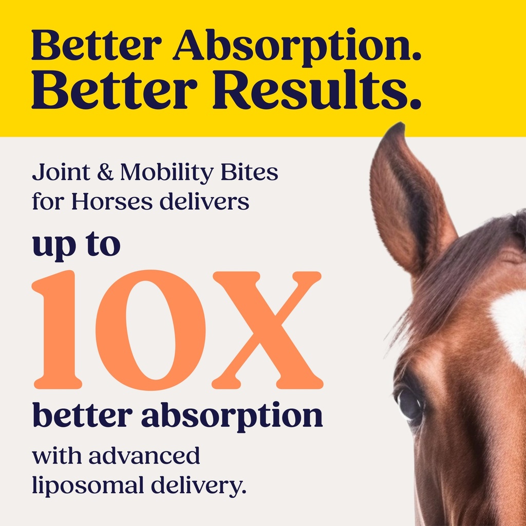 summit-equine-joint-mobility-bites-daily-81cbtrfZ76L.jpg
