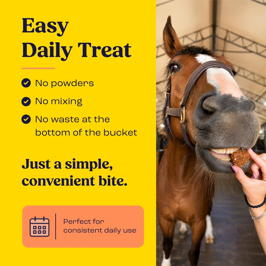 summit-equine-joint-mobility-bites-daily-81rI3+4tO+L.jpg