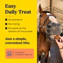 summit-equine-joint-mobility-bites-daily-81rI3+4tO+L.jpg