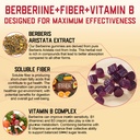 sugar-free-berberine-gummies-digestive-b-81hMQC3kDDL.jpg