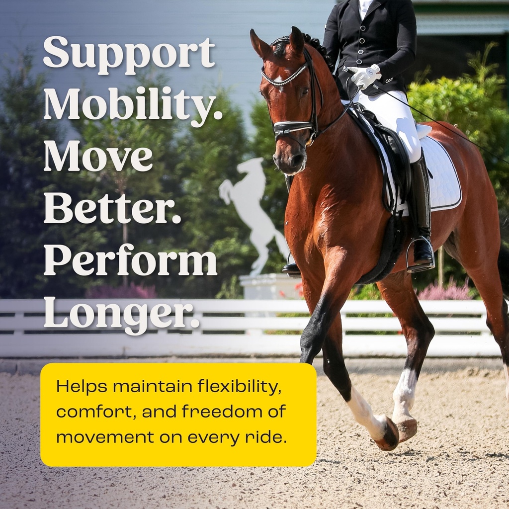summit-equine-joint-mobility-bites-daily-91Ncz6-BwxL.jpg