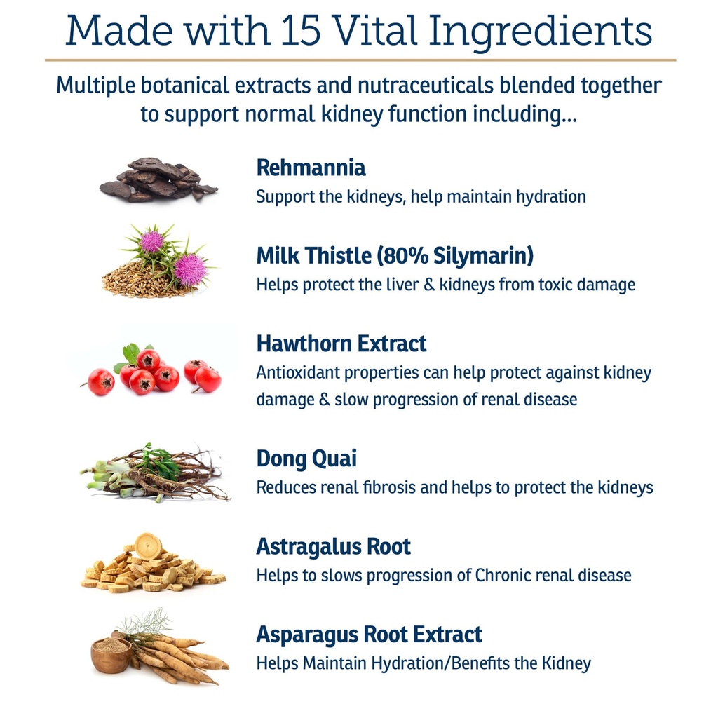 rx-vitamins-renal-feline-cat-kidney-supp-81jBy1Do9PL.jpg