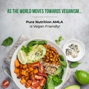 pure-nutrition-amla-capsules-indian-goos-711DbOE07AL.jpg