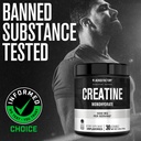 jacked-factory-creatine-monohydrate-powd-816oOKR6GJL.jpg
