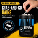 animal-creatine-monoydrate-powder-capsul-71MWhLVlRTL.jpg