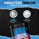 animal-creatine-monohydrate-chews-for-me-71KdZbc4svL.jpg