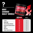 creatine-monohydrate-gummies-12-in-1-com-71hJAAlLh0L.jpg