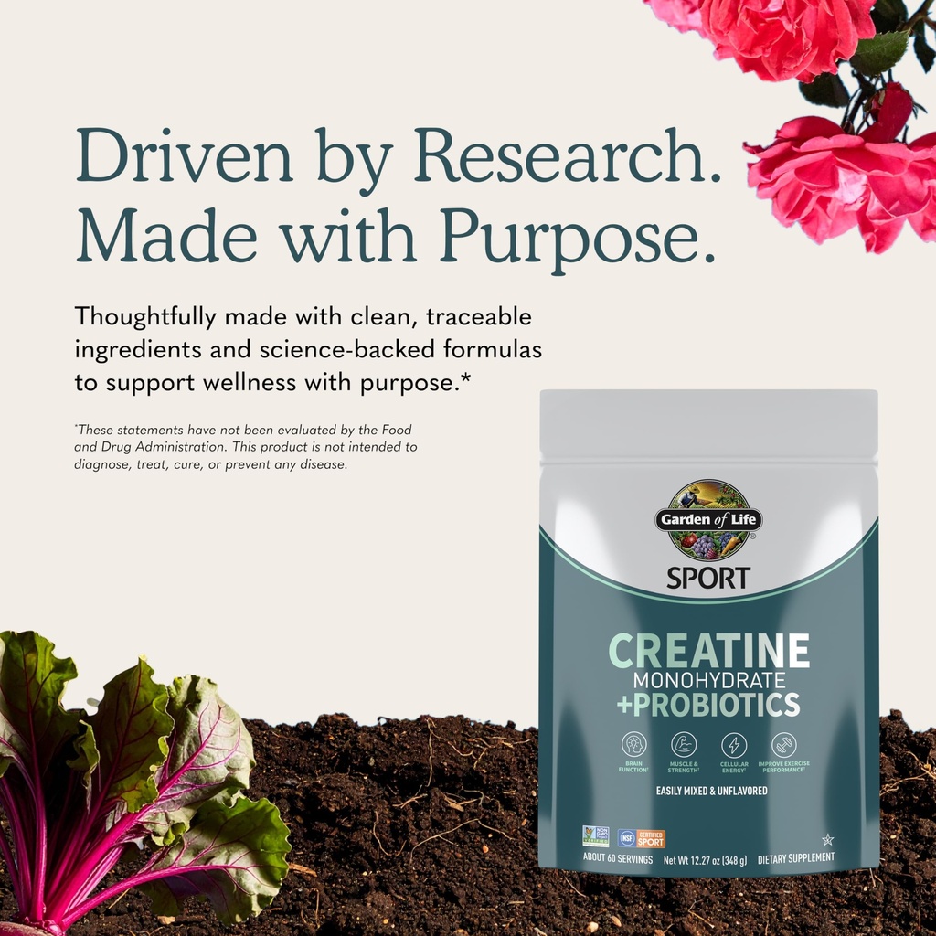 garden-of-life-sport-creatine-monohydrat-81PKefHeliL.jpg