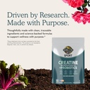 garden-of-life-sport-creatine-monohydrat-81PKefHeliL.jpg