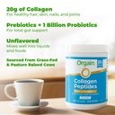 orgain-20g-collagen-peptides-prebiotic-p-71XPhG8aMwL.jpg