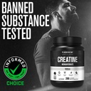 jacked-factory-creatine-monohydrate-powd-718M8nKMp6L.jpg