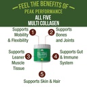 peak-performance-all-5-multi-collagen-pr-71-i9JEFljL.jpg