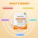 creatine-monohydrate-micronized-powder-1-61-blsxt41L.jpg
