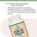 ksm-66-ashwagandha-root-extract-600mg-or-71D1tJknBnL.jpg