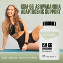 nutrabio-ashwagandha-ksm-66-ashwagandha--81vHufaVuQL.jpg
