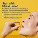 ritual-stress-relief-supplement-ashwagan-81kq81NdIsL.jpg