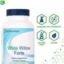 nutra-biogenesis-white-willow-forte---wh-3.jpg