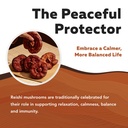 organic-reishi-mushroom-capsules-max-pot-714O6lzASqL.jpg