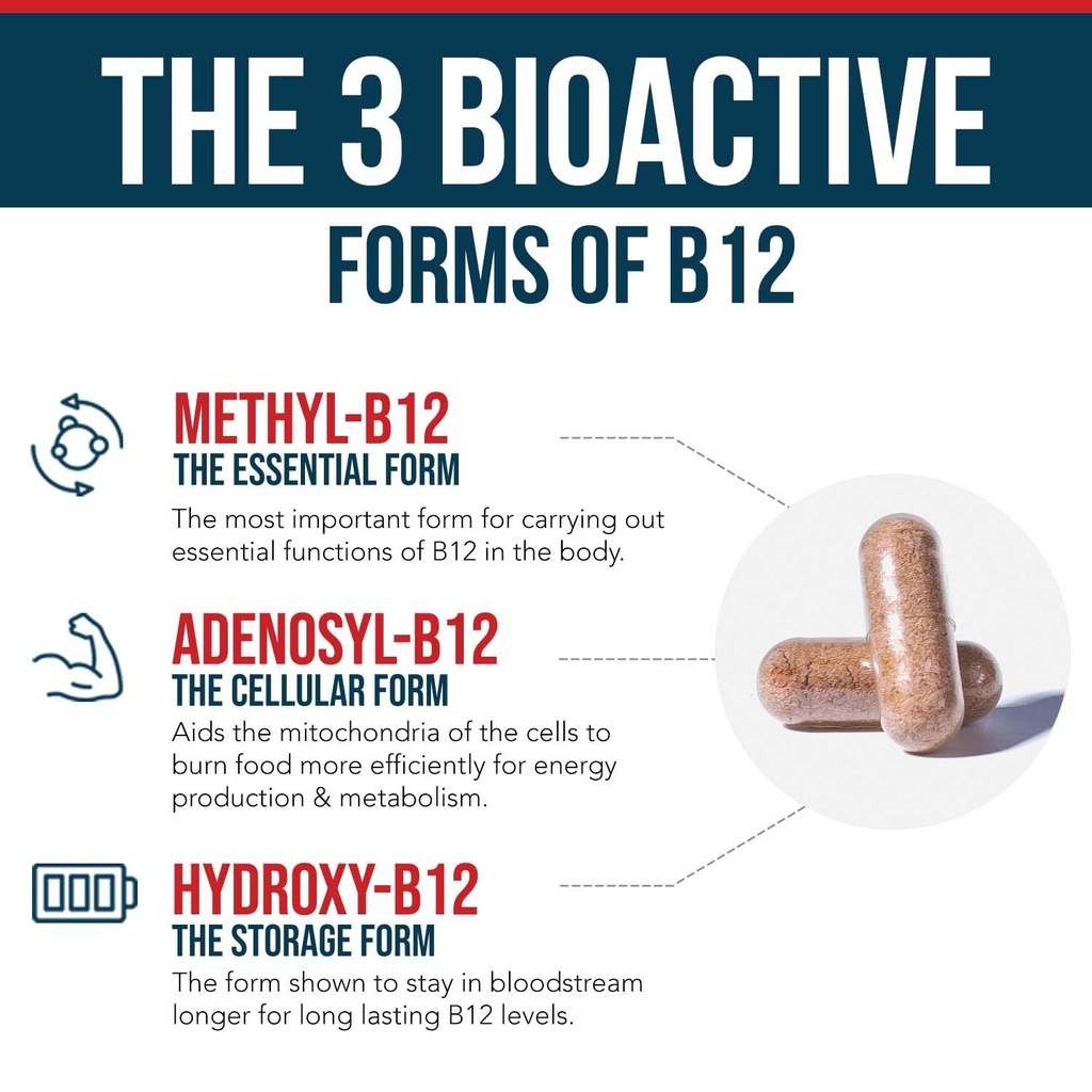bioactive-vitamin-b12-plus-methylfolate--717sEY3Z01L.jpg