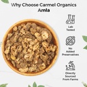 carmel-organics-amla-fruit-seedless-250--71x-XuYUqeL.jpg