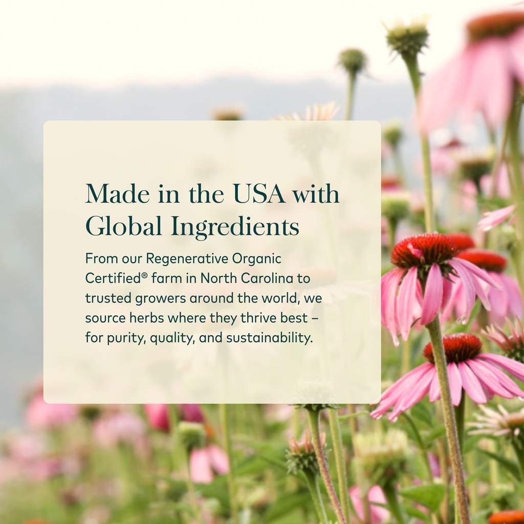 gaia-herbs-rhodiola-rosea-60-vegetarian--81FIwD52jcL.jpg