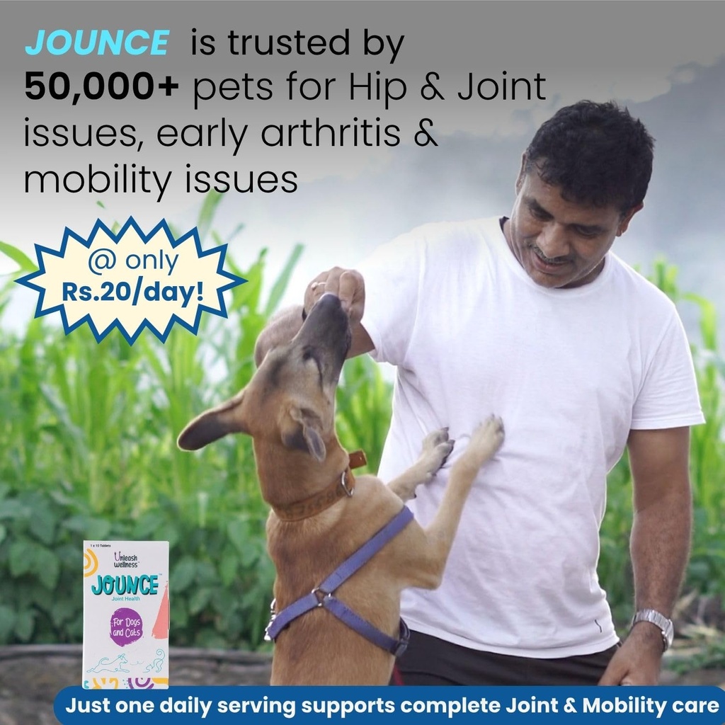 jounce-hip-joint-supplement-for-dogs-30--71xi3jQ7W9L.jpg