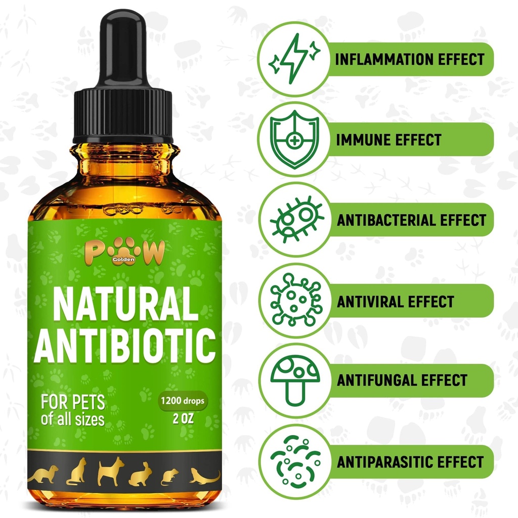 dog-antibiotics-for-infections-kennel-co-81s4nzaRugL.jpg