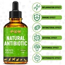 dog-antibiotics-for-infections-kennel-co-81s4nzaRugL.jpg
