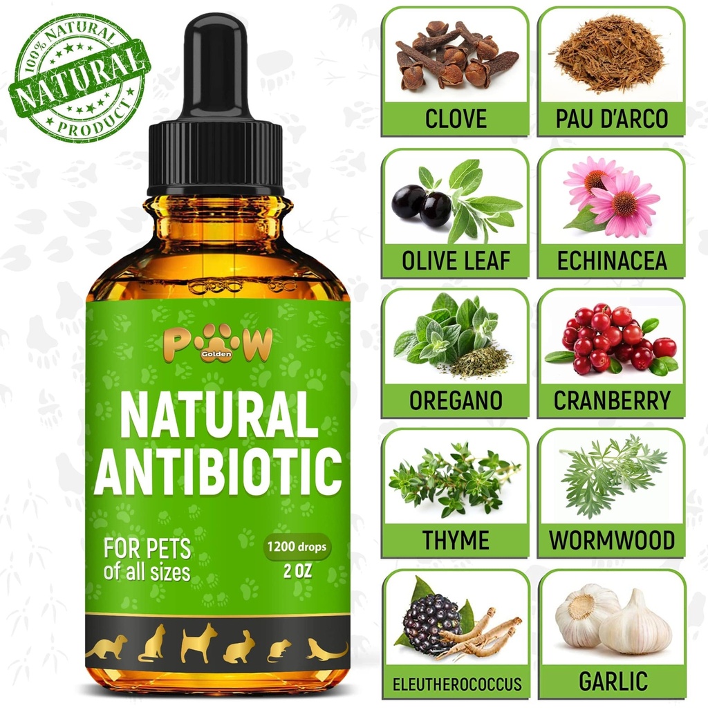 dog-antibiotics-for-infections-kennel-co-81hVBMe+54L.jpg