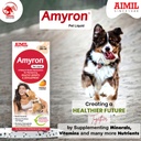aimil-amyron-pet-liquid-natural-health-r-71-9hi7HsuL.jpg