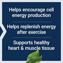 life-extension-d-ribose-tablets-100-tabl-71tbuihcd9L.jpg