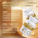 omogs-nad-300-mg-trans-resveratrol-200-m-71IrFWY+GzL.jpg