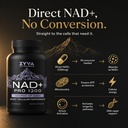 zyva-nad-pro-1200-high-dose-direct-nad-p-81vPP8gsZaL.jpg