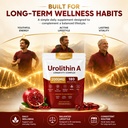 finding-ferdinand-urolithin-a-supplement-71e4DrczG4L.jpg
