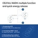 celfull-nadh-supplement-nmn-alternative--61wihy37thL.jpg