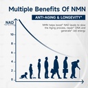 nmn-nicotinamide-mononucleotide-1000-mg--71r7+15IxJL.jpg