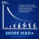 nmn-1000mg-per-serving-maximum-strength--61N2oR8tzQL.jpg