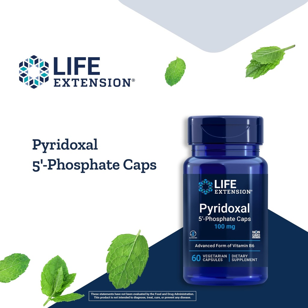 life-extension-pyridoxal-5-phosphate-vit-71g0RsTiinL.jpg