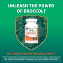 nutramax-avmacol-extra-strength-sulforap-71HXp6korEL.jpg