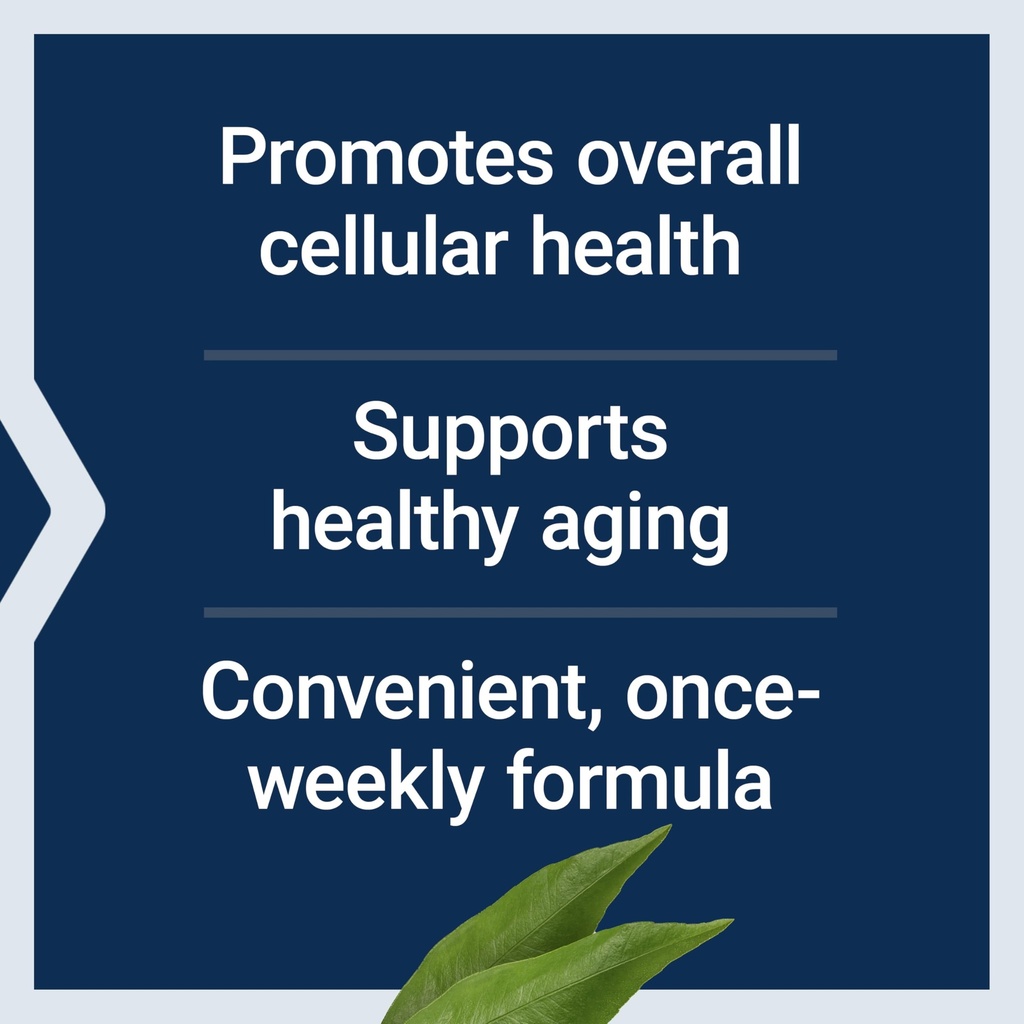 life-extension-senolytic-activator-healt-71o5azpy0tL.jpg