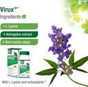 bell-viruxTM-l-lysine-and-red-marine---n-5.jpg