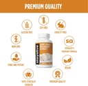 stay-alive-lions-mane-supplement-capsule-5.jpg