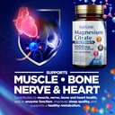 magnesium-citrate-1000mg-max-absorption--81HemQWnGTL.jpg